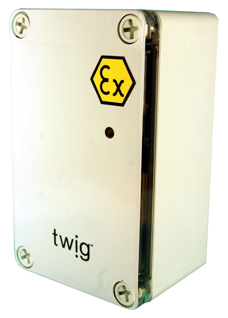 Twig Beacon Ex