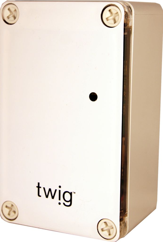 Twig Beacon