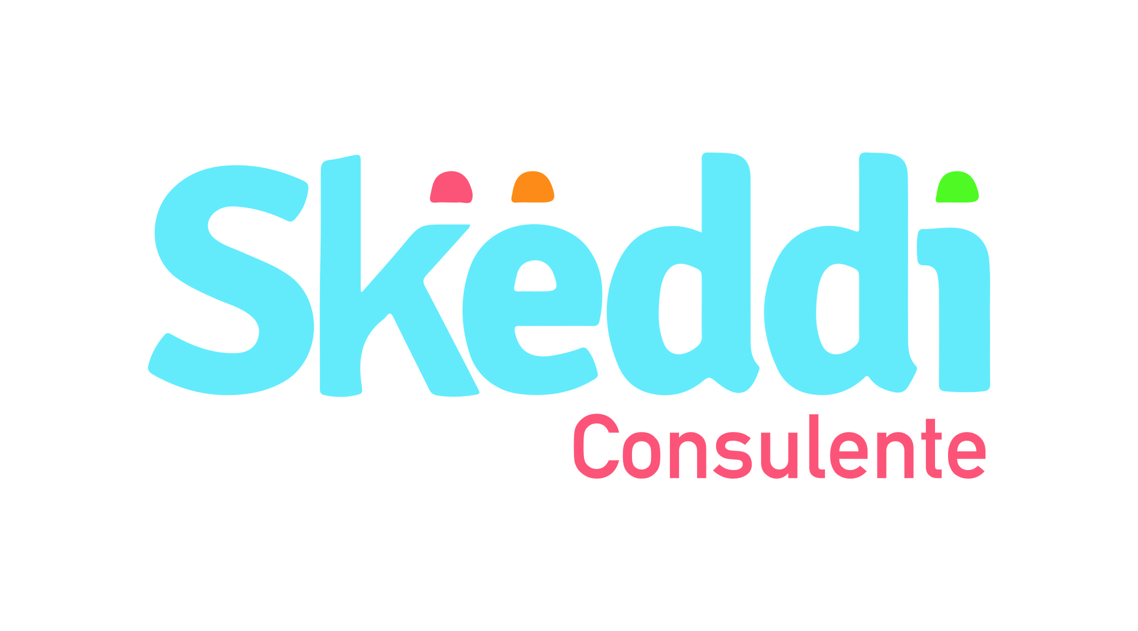 SKEDDI Consulente